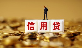 成都20哪有个人借贷-成都20小额贷款公司-成都20私借空放免费上门